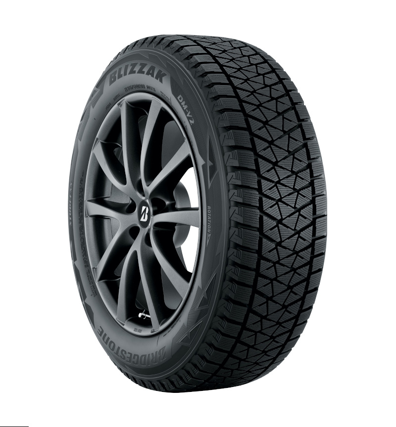 Bridgestone DM-V2