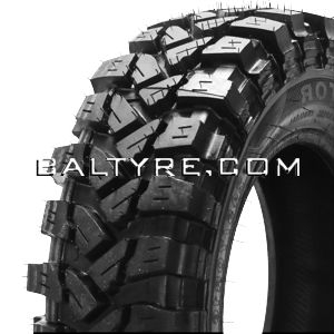Geyer & Hosaja Raptor